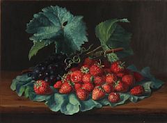 Strawberries and blue grapes on a rhubarb leaf