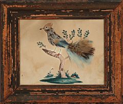 Birds (4)