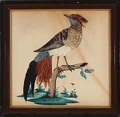 Birds (2)