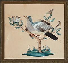 Birds (3)