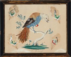 Birds (2)