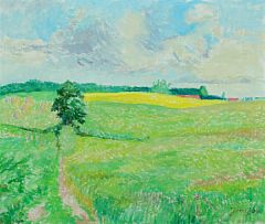 Summer landscape