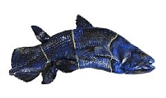 Blue Fish