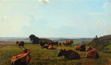 Cows in the field