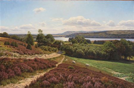 View towards Silkeborg Søerne in Denmark