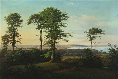 A Danish summer landscape with a view to Århus town