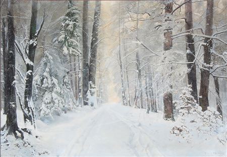 Winter day in the woods