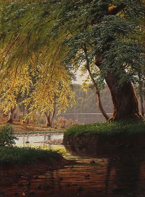 Spring day at a forest lake