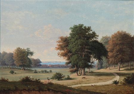 Danish summer landscape
