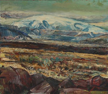 Icelandic landscape