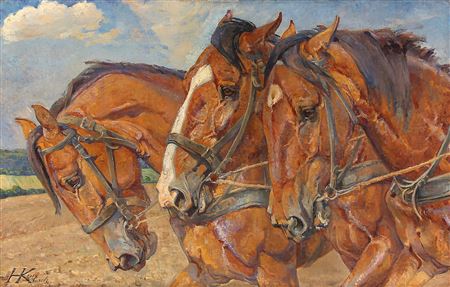 Three working horses with harness
