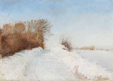 Winter day in Denmark