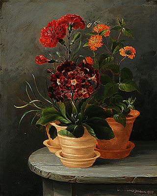 Flowers in pots.