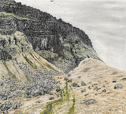 Mountainside with birds, Hestur, the Faroe Islands
