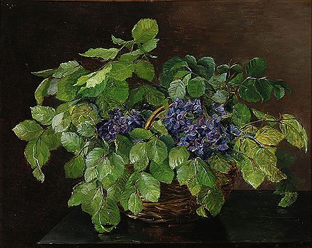 Beech branches and woodland violets.