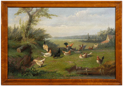 Chickens and rooster in farmyard