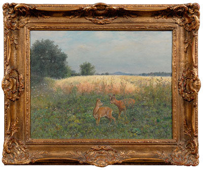 Two deer in a field