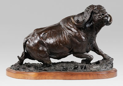 Big 5, Cape Buffalo, 1984