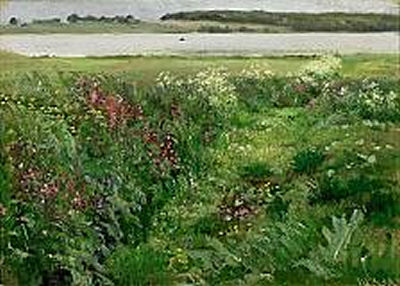 Wild Flowers at a Fiord
