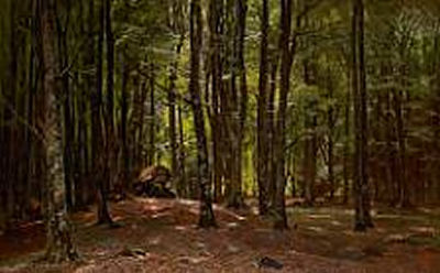 A Dolman in a Summer Forest