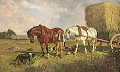 The harvest