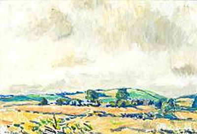 Landscape with fields