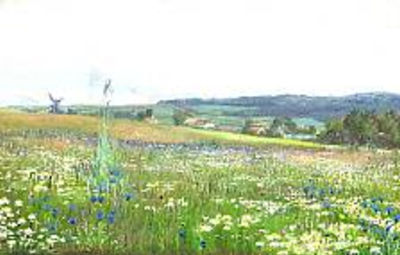A summer landscape with a field of wild flowers
