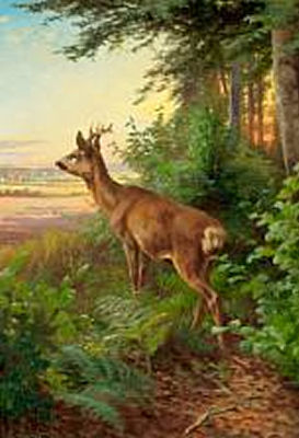 "En råbuk".