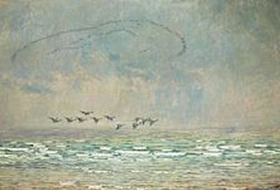 Brent geese over rainy waters