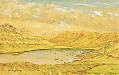 Scenery from Trongisvág, Faroe
