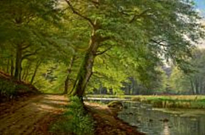 A spring day in the woods