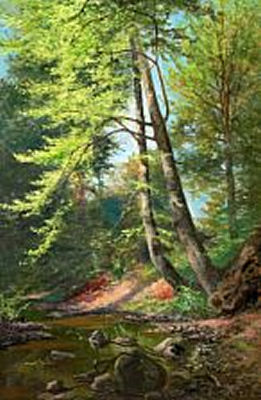 A forrest with a stream