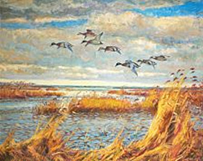 Scenery with flying ducks