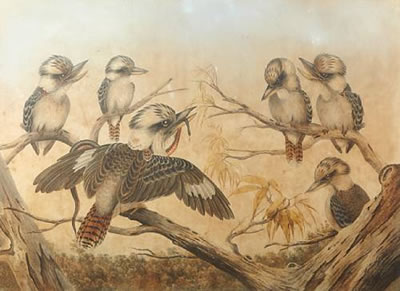 Kookaburras by Neville Henry Peniston Cayley - Auction record, sale price, and art valuation. Compare with similar artists and explore comparable artworks.