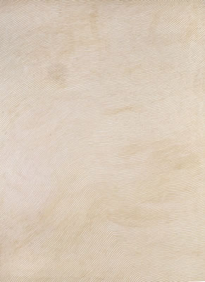 Untitled (Designs Associated with the Claypan Site of Kirrimalunya) by George H (Hairbrush) Tjungurrayi - Auction record, sale price, and art valuation. Compare with similar artists and explore comparable artworks.