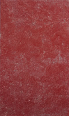 Bush Plum