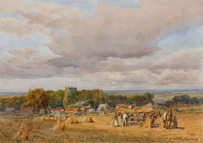 Harvesting at Brancaster