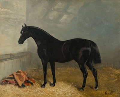 'Elmsdale' in a stable