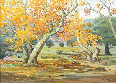 Autumn (Sycamore)