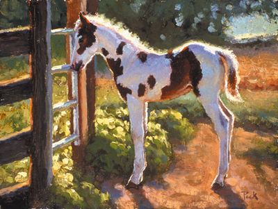 Spring Flowers; Colt