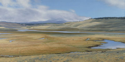 Hayden Valley Marshes