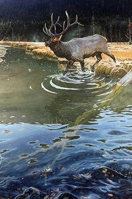Pebble Creek
