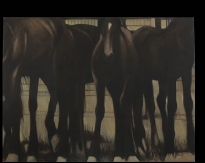 Red Desert - Captives