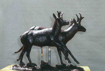 Two Bucks