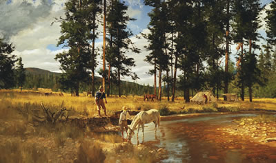Cabin Meadow Camp