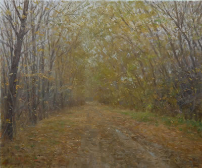 A Leaf Covered Road