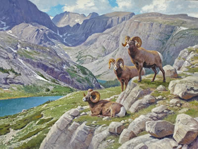 "Bighorn Country"