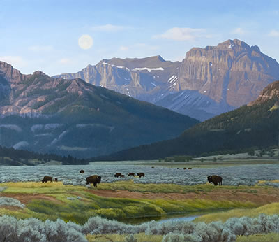 Lamar Valley Evening