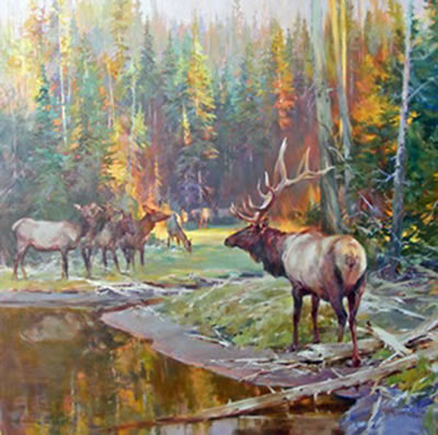 At the Edge of the Light - Elk