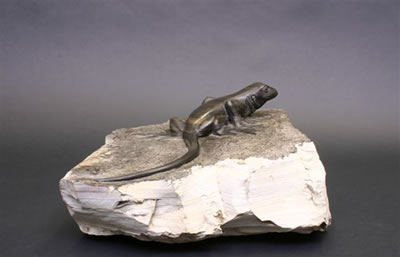 Lounge Lizard